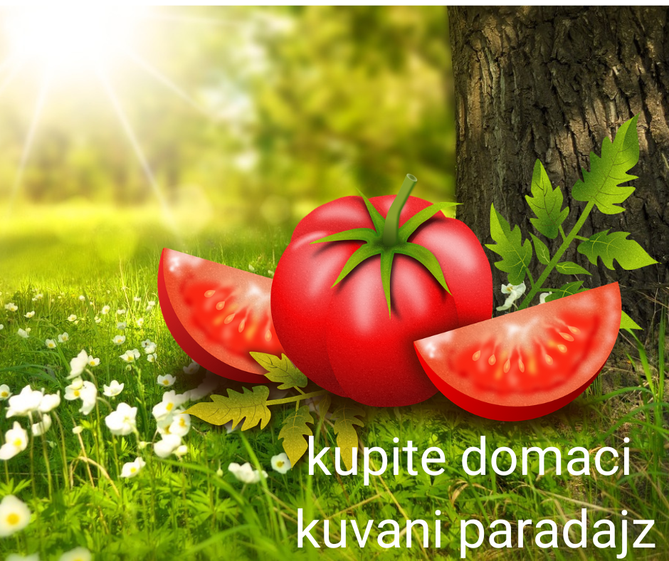  paradajz kao osnova za preradu 